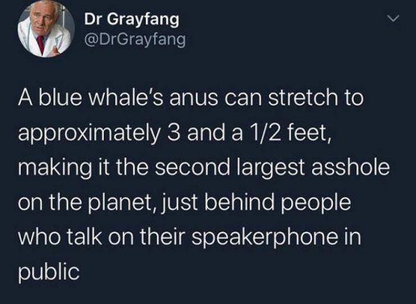 Blue-whales-anus.jpg