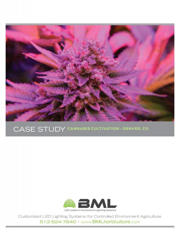 BML_SPYDR_1200_Cannabis_LED_Case_Study-page-001.jpg