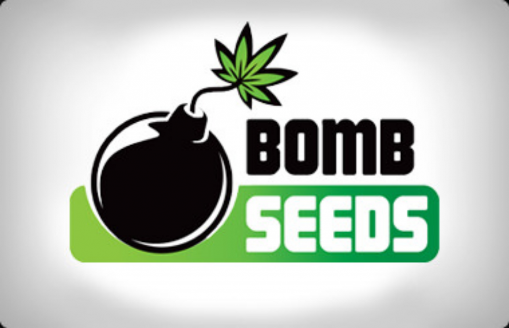 bomb-seeds-1549019857-1024x660.png