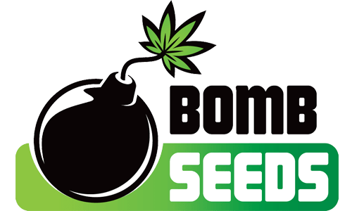 bomb_seeds_2.png