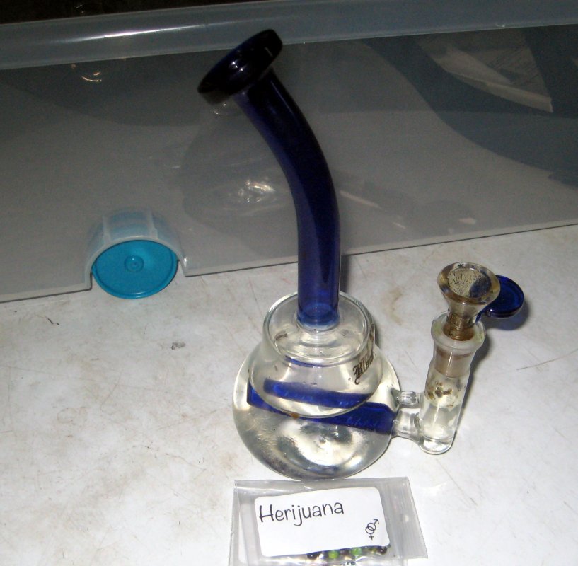 bong and seeds pic1 -8-14-2018.jpg