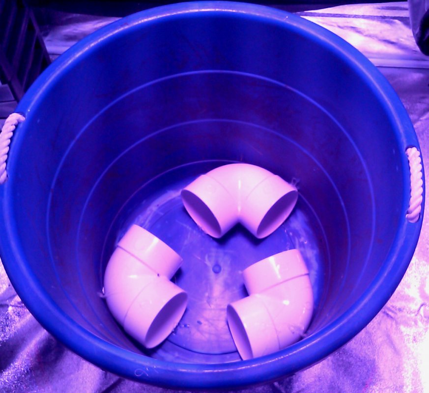 bottom watered pot -pic1 -11-27-2015.jpg