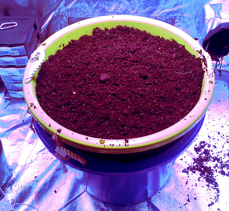 bottom watered pot pic3 -11-27-2015.jpg