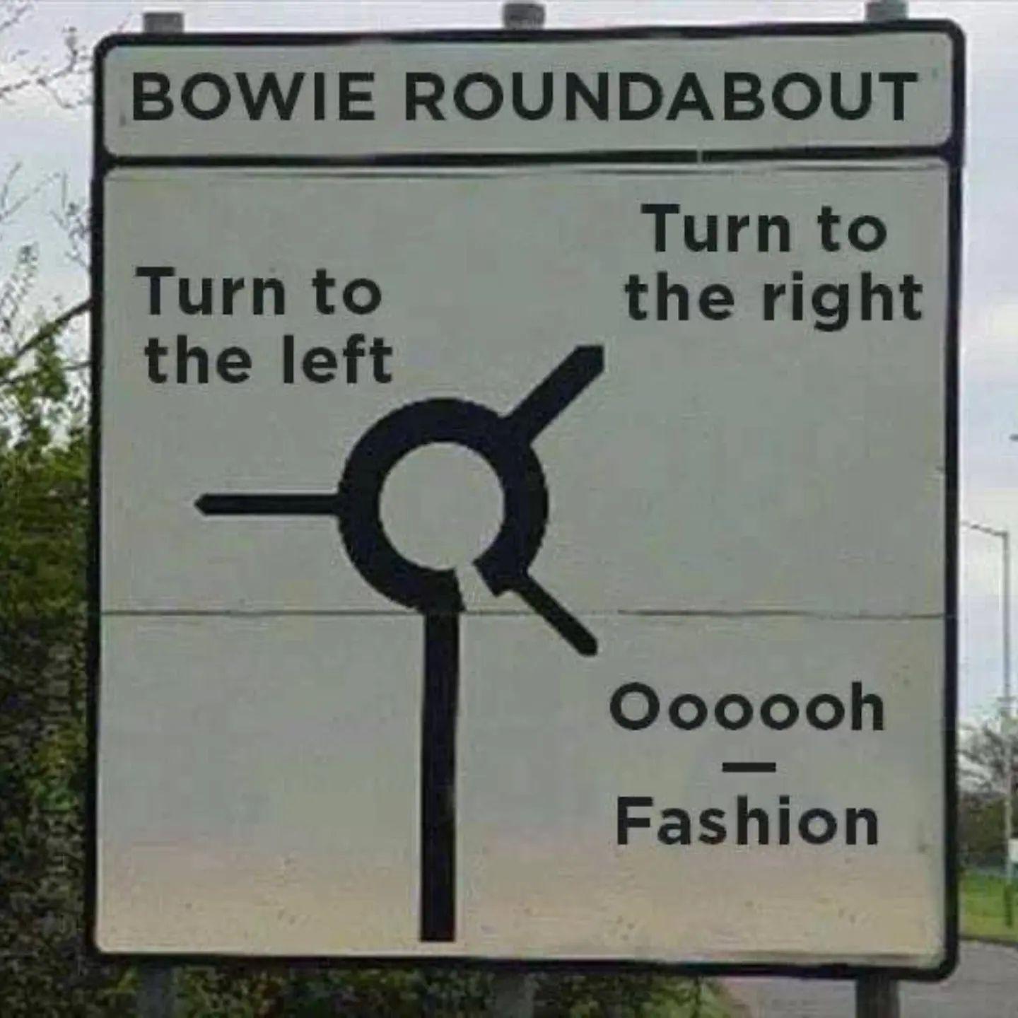 bowie.jpg