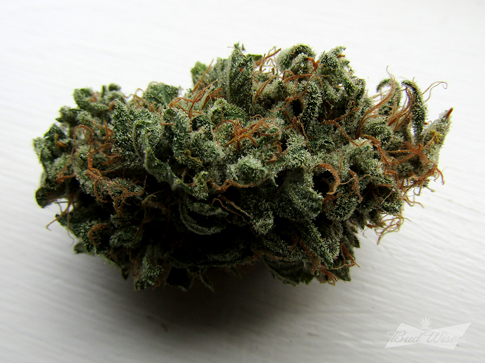 Bud's-Blueberry-Chunk.jpg