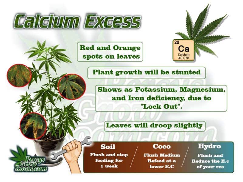 calcium-excess-in-a-cannabis-plant-e1570277154883.jpg