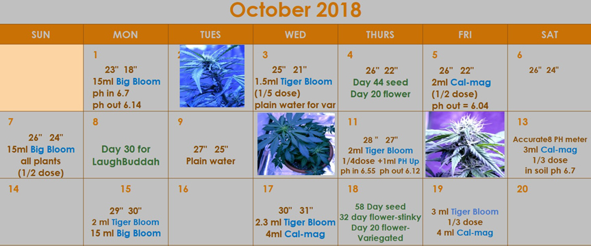 calendar-Oct19.jpg