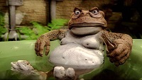 cane-toad-dazza.jpg