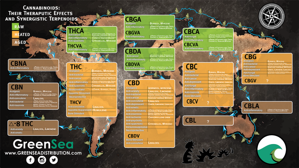 cannabinoid-map-1.png