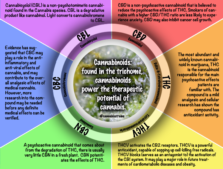 cannabinoids.png