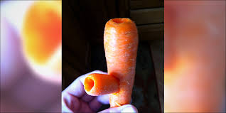 carrot.jpg