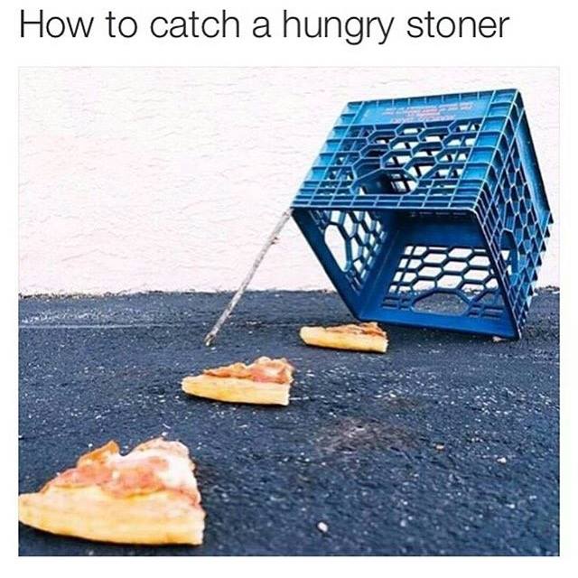 catch-hungry-stoner-weedmemes.jpg