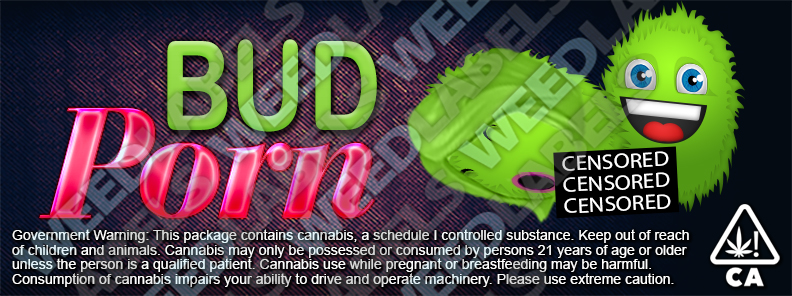 CAwater-BUD-PORN.jpg