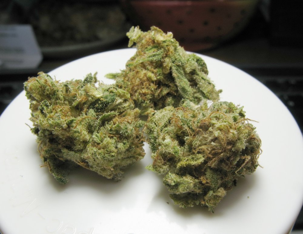 CBD Crew - CBD Skunk Haze.jpg