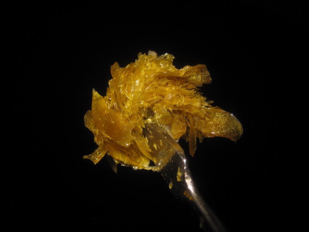 chachirosin.JPG