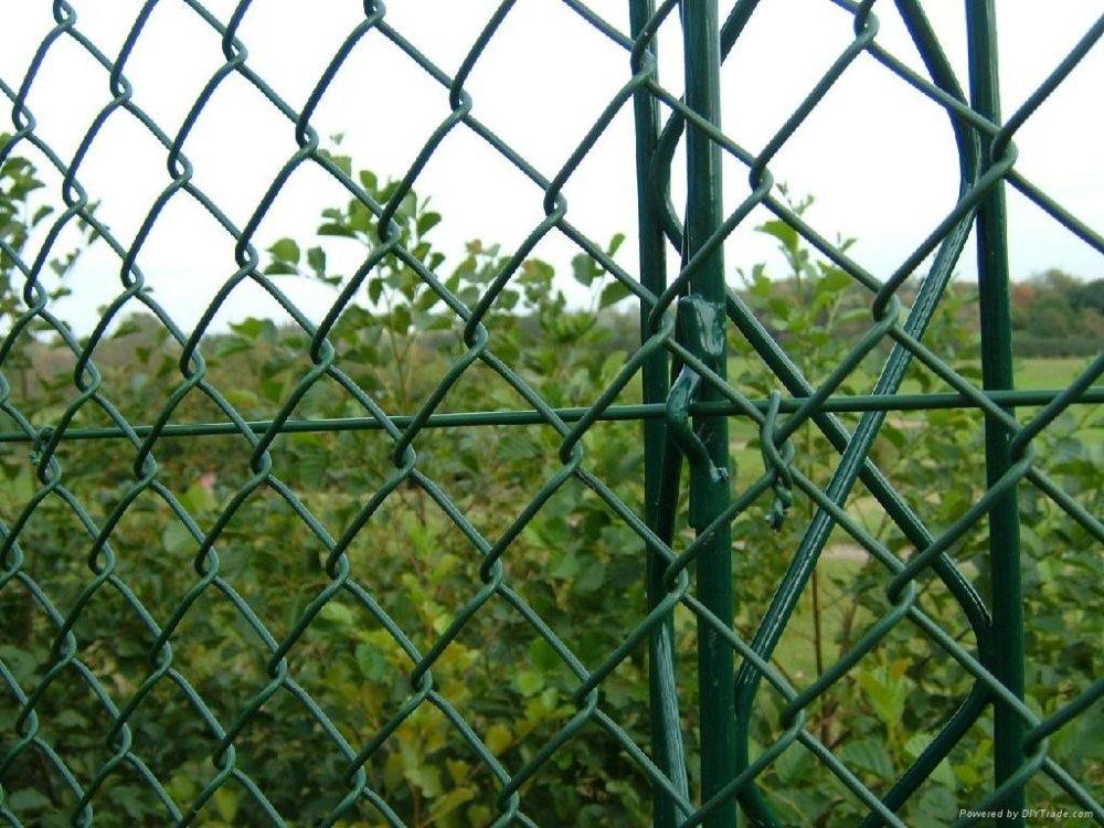 Chain_Link_Fence-1024x768.jpg