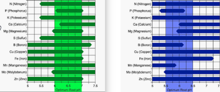 chart for wair chat.2019-03-31_22-47-46.jpg