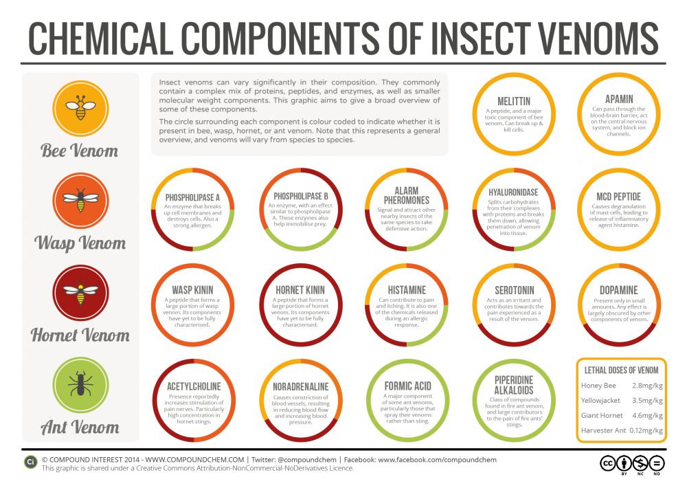 Chemical-Composition-of-Insect-Venoms.png