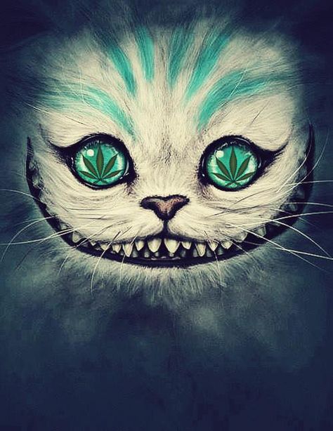 cheshire Weed Cat.jpg