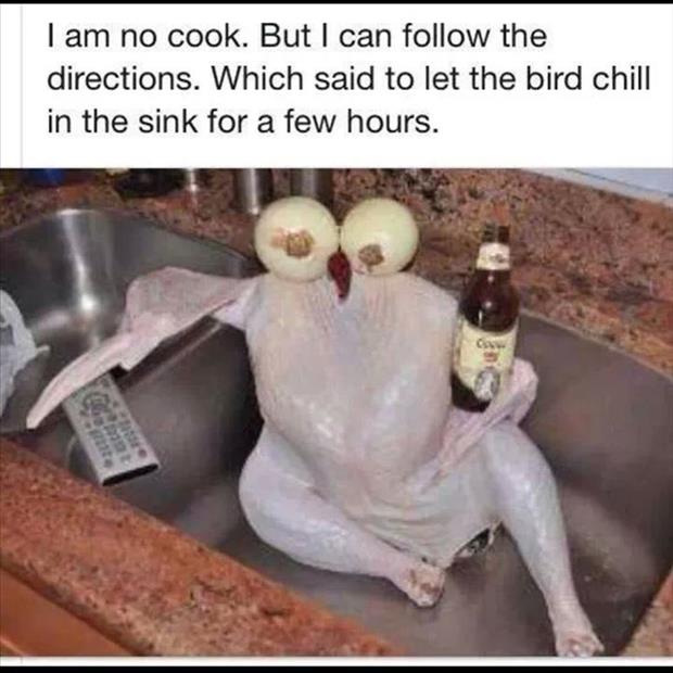 chillinchicken.jpg