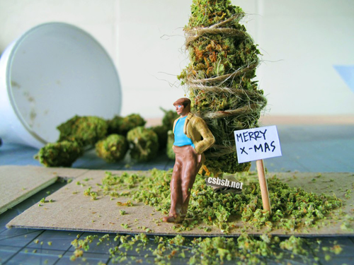 christmas-tree-marijuana.png