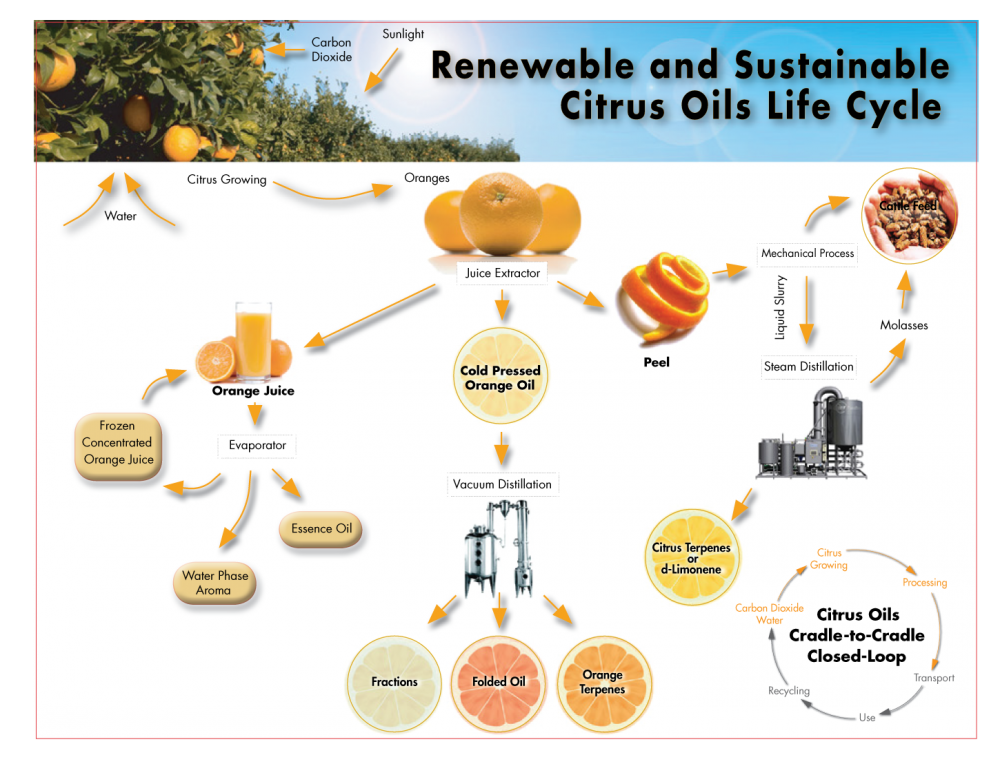 Citrus-Oils-Lifecycle-chart.png