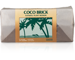 coco-brick_content_1.png