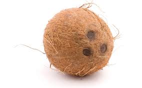 coconut.jpeg