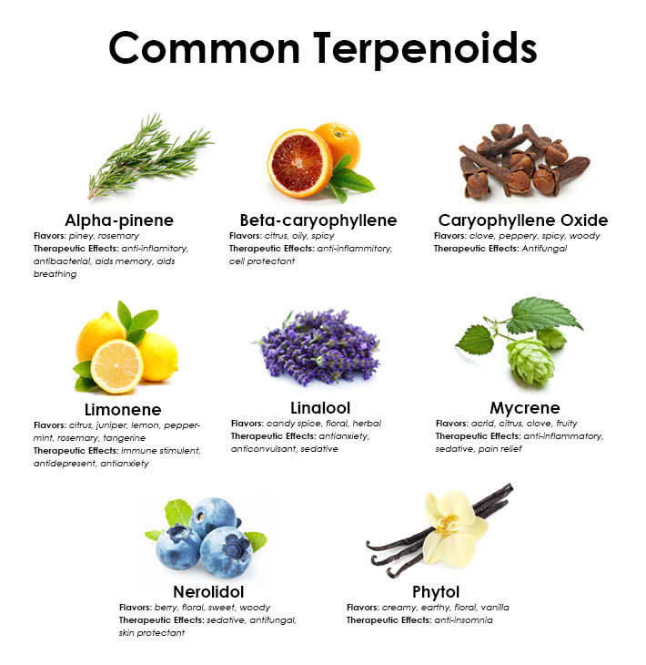 Common-Terpenoids.jpg