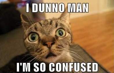 Confused-Cat-Meme-21.jpg