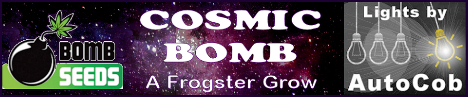 Cosmic Bomb Auto Cob Logo.jpg