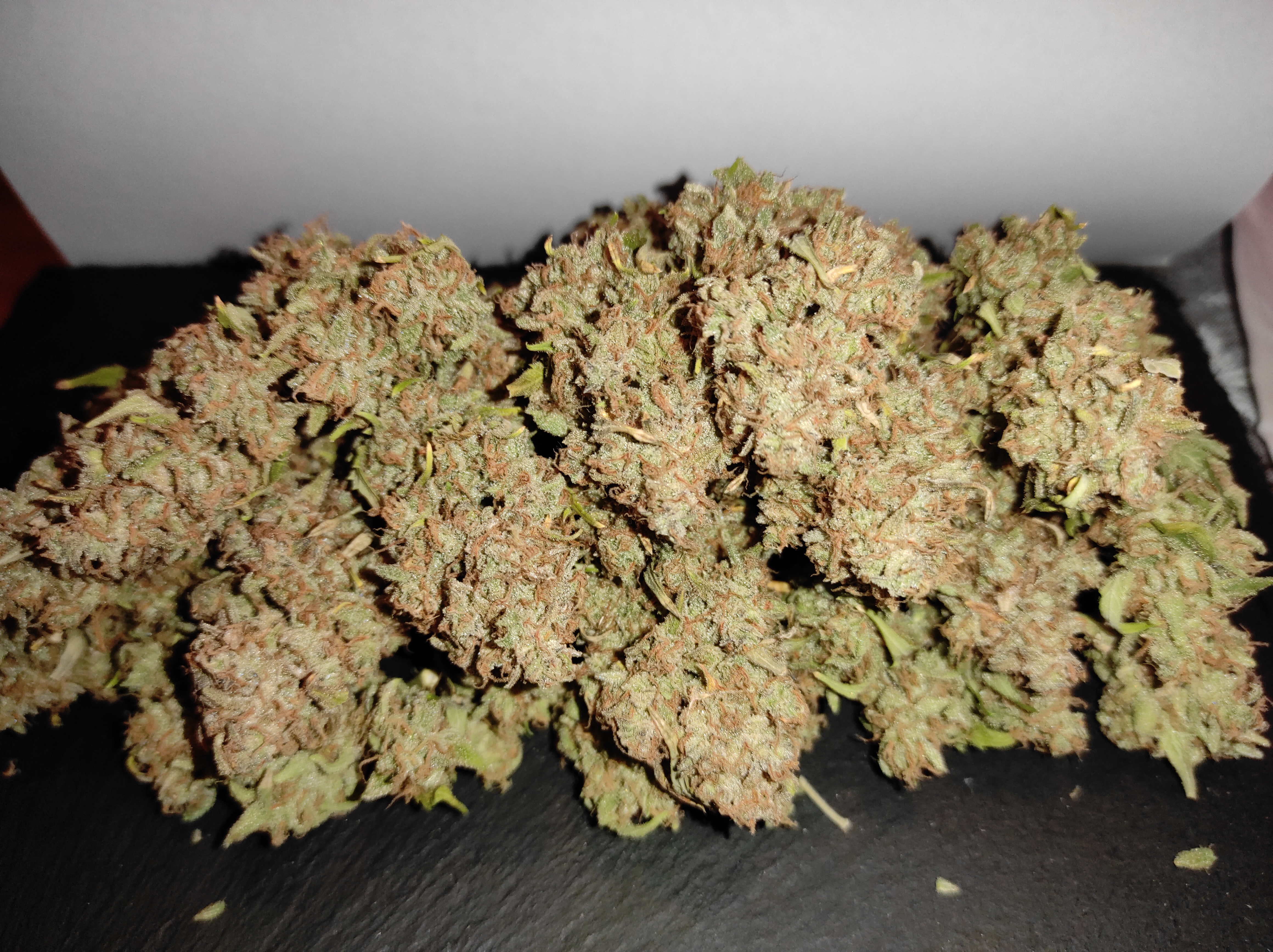 Crystal Candy XL day pre-curing-dry.jpg