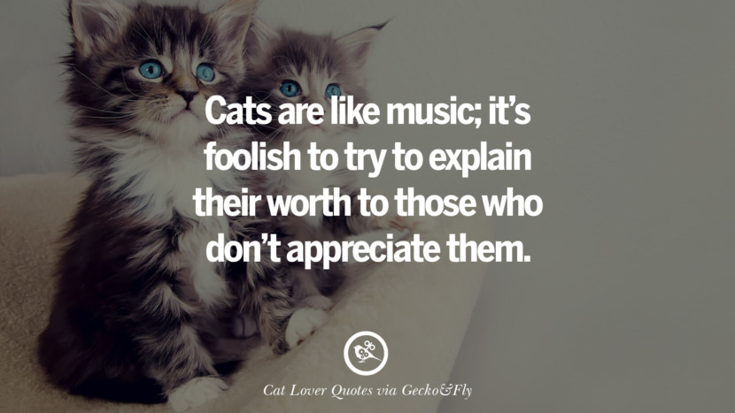 cute-cat-image-quotes-06-830x467.jpg