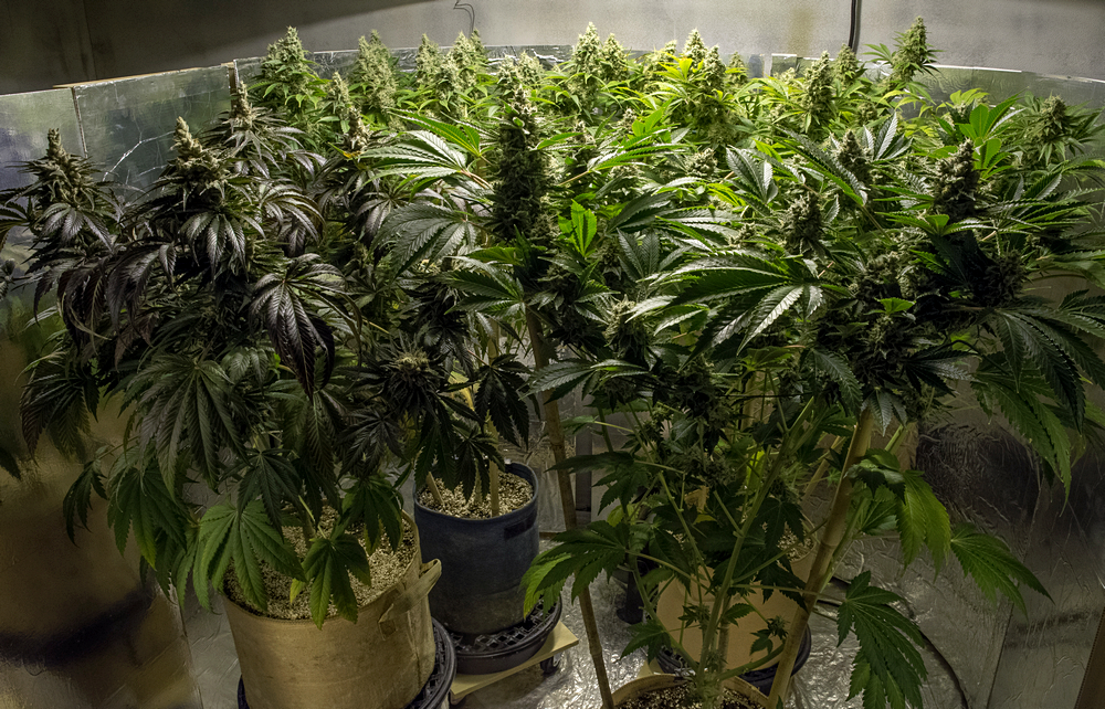 Day 58 The Girls high 21 Oct.jpg