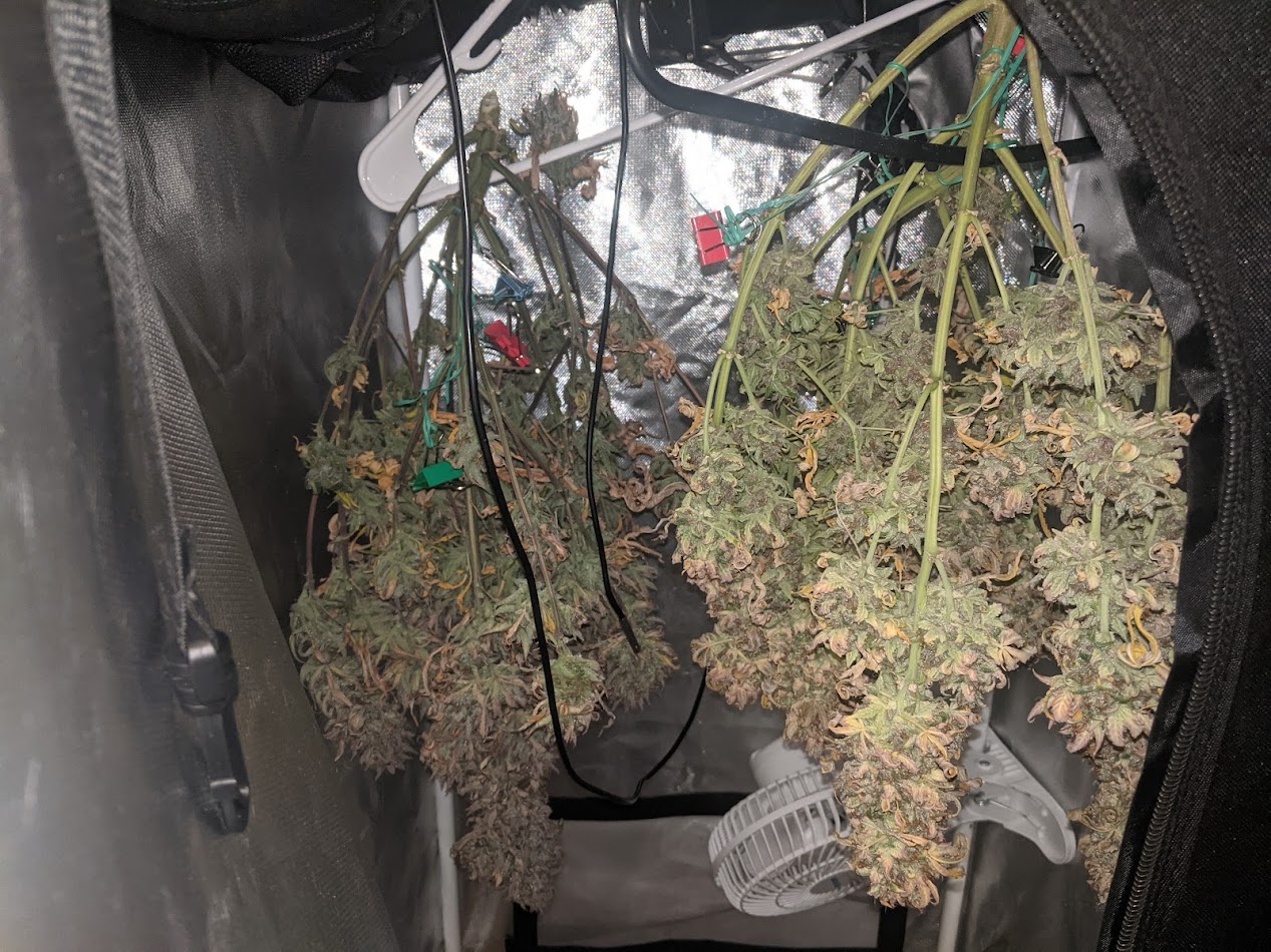 day90-tm-amr-harvest1.jpg