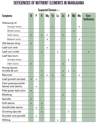 Deficiencies check chart.jpg