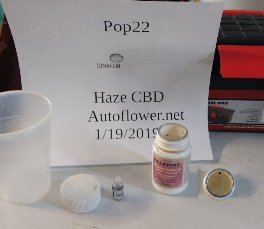 Dinafem Haze CBD. contest pic1 -1-19-2019.jpg