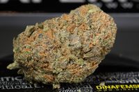 Dinafem-Nugshot-critical2.0enCanada-9128_photo_gallery_thumb.jpg