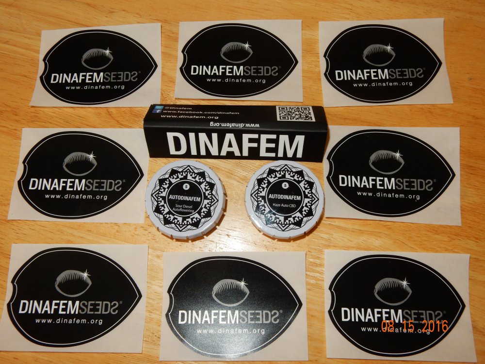 Dinafem Seeds.JPG