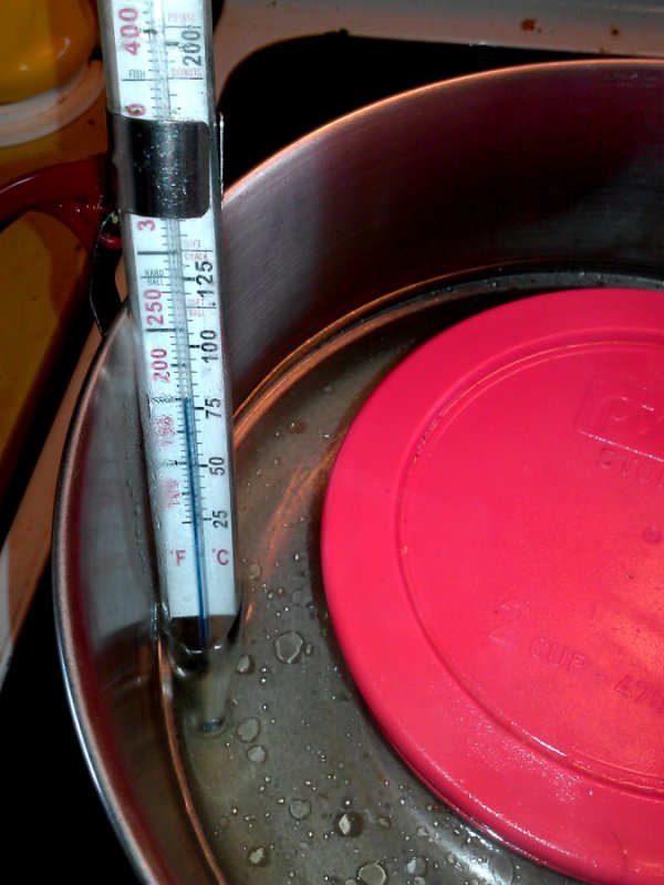 dish and thermometer.jpg