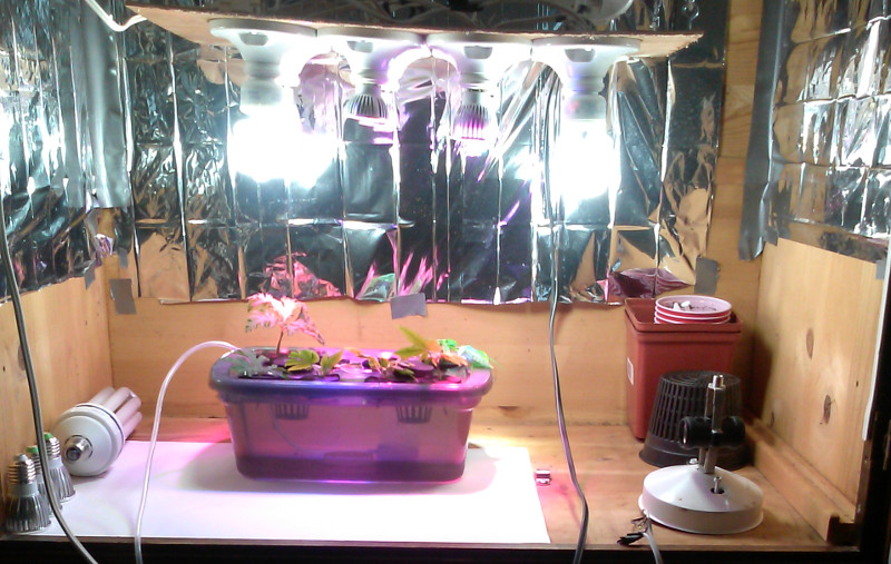 DIY Growlight-4.jpg