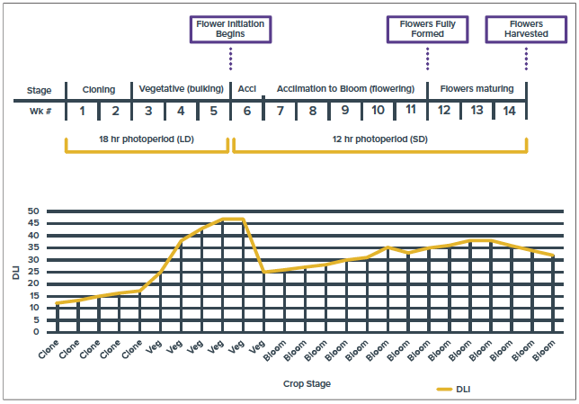 DLI Levels by Growth Stage.png