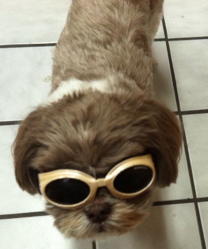 doggles_firstwear.jpg