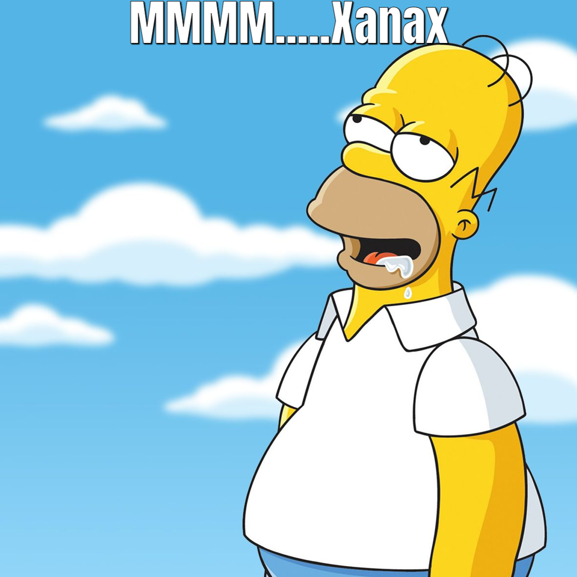 DrMemes.com-homer.png