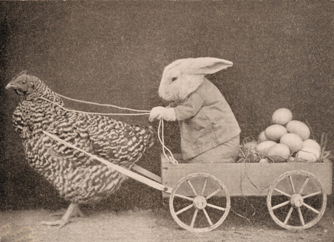 EASTER BUNNY 1 CHICKEN POWERED CART (FILEminimizer).jpg