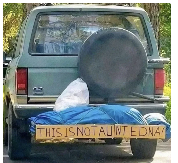 Edna.png