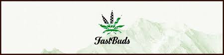 fastbuds.jpg