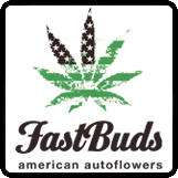 FastBuds.png