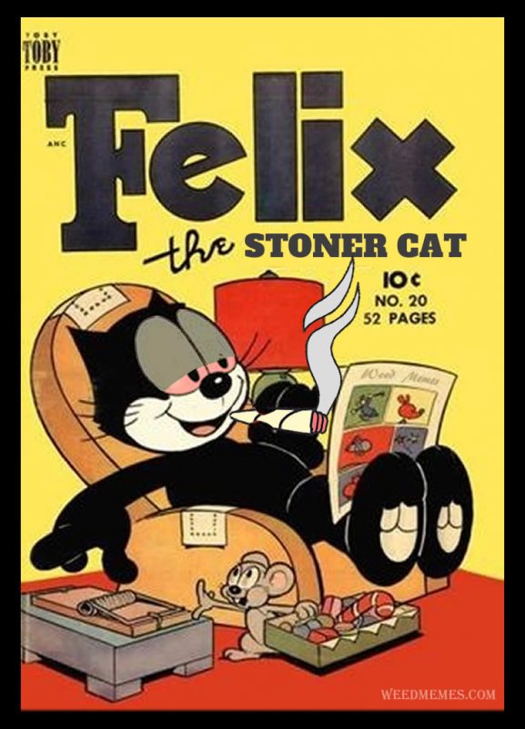 felix-stoner-cat-weed-memes.jpg