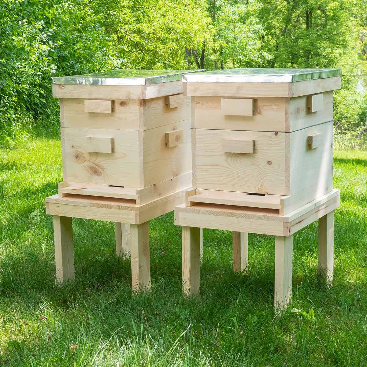 FHD19JUNE_BeeBox_251-hive-featured-photo.jpg